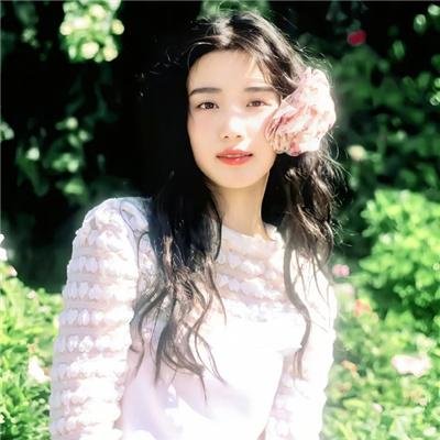 狗的生涯